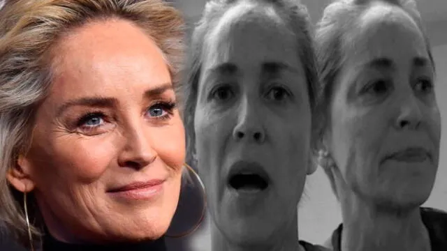 Sharon Stone señala que fue engañada para quitarse la ropa interior en “Bajos Instintos”