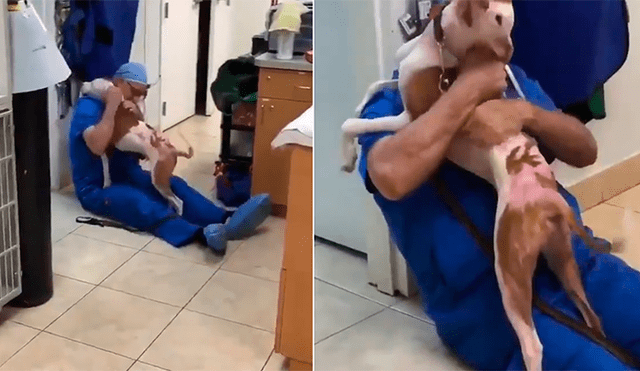Facebook viral: perro ve al veterinario que le salvó la vida y tiene conmovedora reacción [VIDEO]