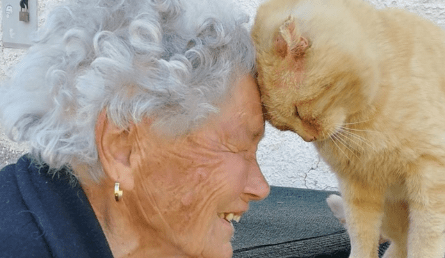 Anciana se reencuentra con su gato después de cuatro años tras desaparecer en un terremoto [VIDEO]