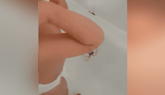 Facebook viral: bebé descubre que enorme araña caminaba por su brazo y tiene insólita reacción