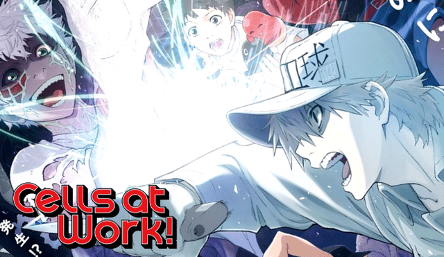 Cell at Work! Season 2 - Hataraku Saibou!! - Trailer HD 