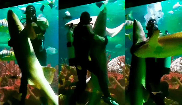 YouTube viral: buzo ingresa a acuario infestado de tiburones y se pone a bailar un ‘vals’ con uno de ellos