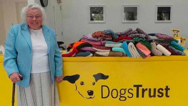 Abuela amante de los animales tejió más de 450 abrigos para salvar a perritos de la calle