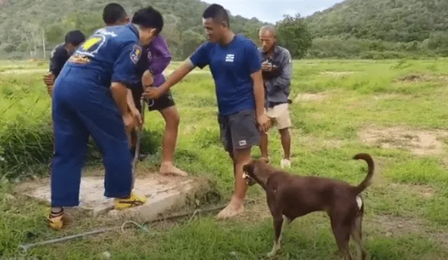 Video es viral en Facebook. El can fue captado esperando impaciente al lado de rescatistas, mientras intentaban sacar a su ‘amada’ de un profundo pozo de alcantarilla. Fotocaptura: YouTube