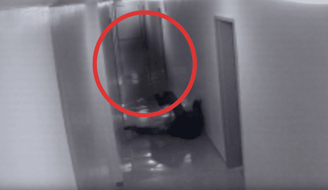 YouTube viral: cámaras de edificio captan a presunto 'fantasma boxedor' golpeando a inquilino [VIDEO]