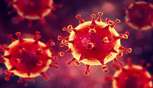 Bar prohíbe la entrada a ciudadanos chinos ante epidemia de coronavirus [FOTOS]