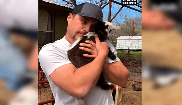 Facebook viral: cabras bebés se trepan encima de su amo para recibir un inesperado gesto [VIDEO]