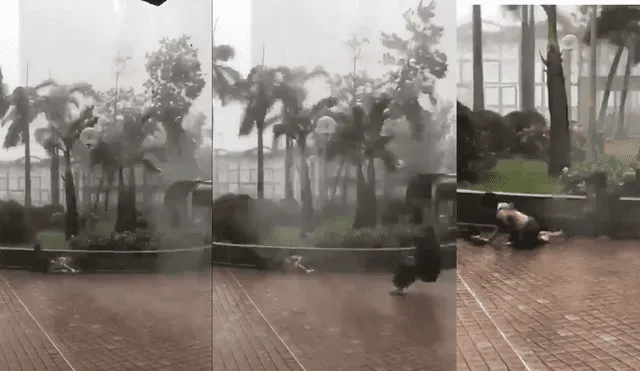 Vea las impactantes imágenes del supertifón Mangkhut en Hong Kong  [VIDEO]