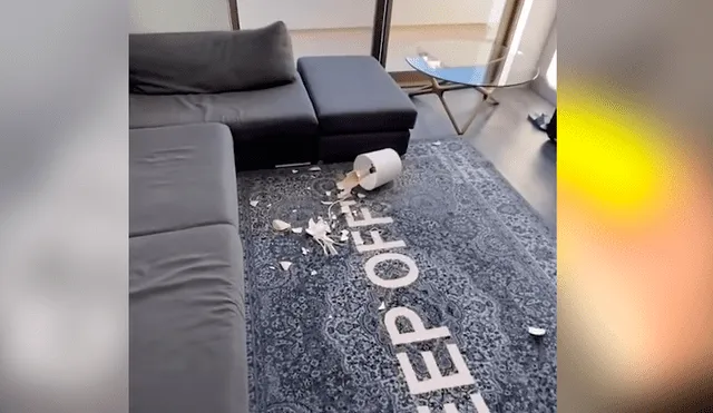 Video es viral en YouTube. El can no soportó que su dueño le tirara lejos su juguete, y cobró venganza con uno de sus preciados objetos de casa