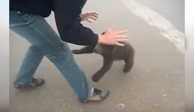 Video es viral en Facebook. El pequeño animal se aferró a la pierna del hombre que lo rescató y protagonizó una conmovedora escena