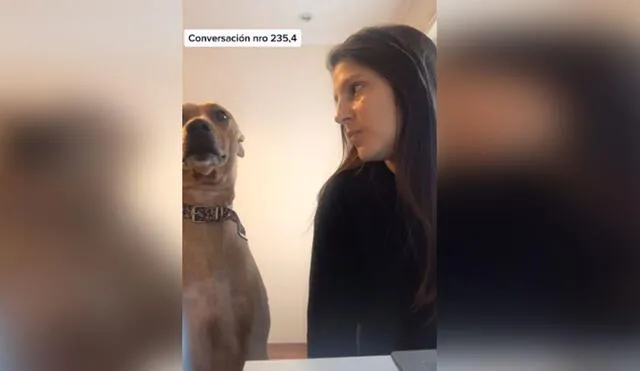 Desliza hacia la izquierda para ver más imágenes de esta peculiar 'conversación' entre una joven y su perro. Foto: captura de TikTok