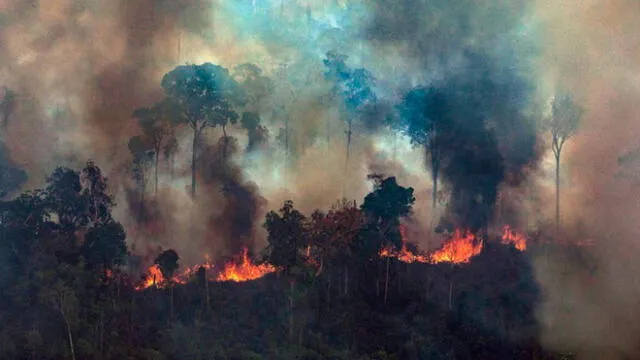 Incendios en las Amazonas. Foto: EFE.