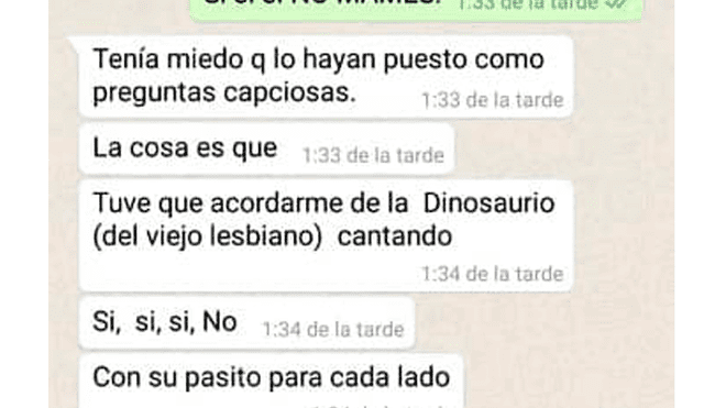 WhatsApp: peruana reveló que gracias al remix 'Cállese viejo lesbiano' supo cómo votar en el referéndum [FOTOS]