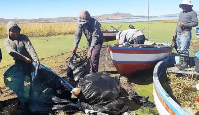 Obreros municipales y pobladores participaron de jornada de limpieza de lago Titicaca y río Coata.