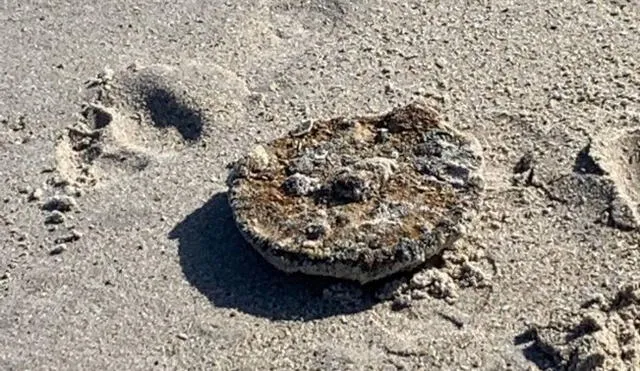 La mina encontrada en Vero Beach corresponde a la Segunda Guerra Mundial. (Foto: El Universal)