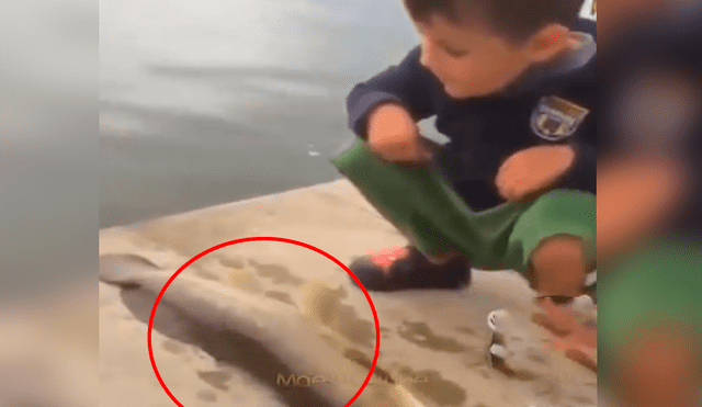 Vía Facebook: pez le da verdadera lección a un niño luego de resucitar [VIDEO]