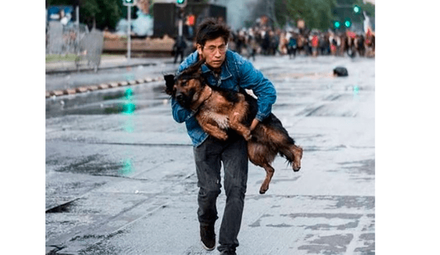 Joven es ovacionado en redes sociales tras rescatar a un perro en medio de protesta en Chile