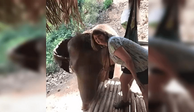 Facebook: Posó feliz para una foto con un elefante y sucede lo inesperado [VIDEO]