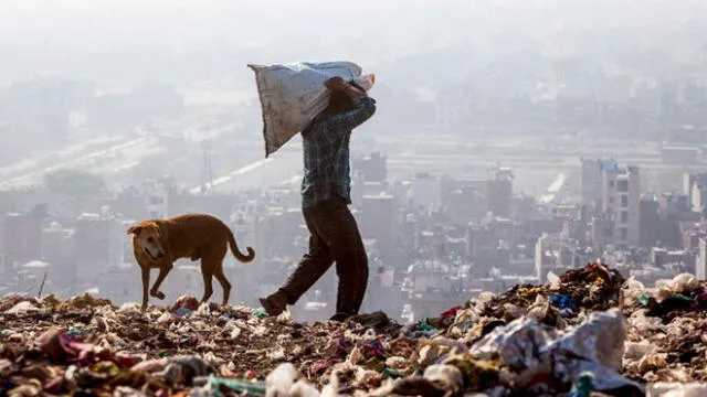 India tiene la montaña de basura más grande del mundo. Foto: AFP.