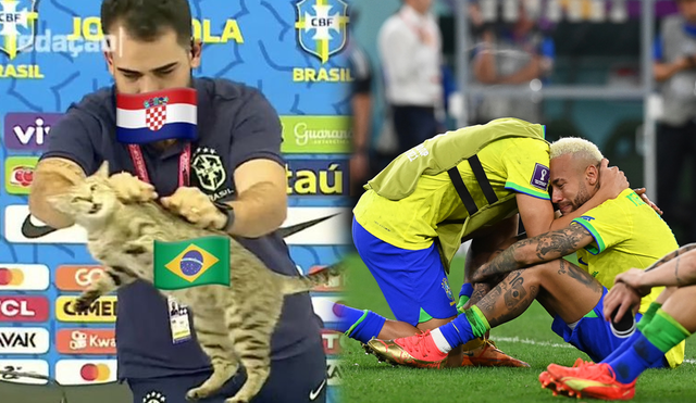 ¿Un gato tuvo que ver con la derrota de Brasil ante Croacia? Foto: Twitter/EFE