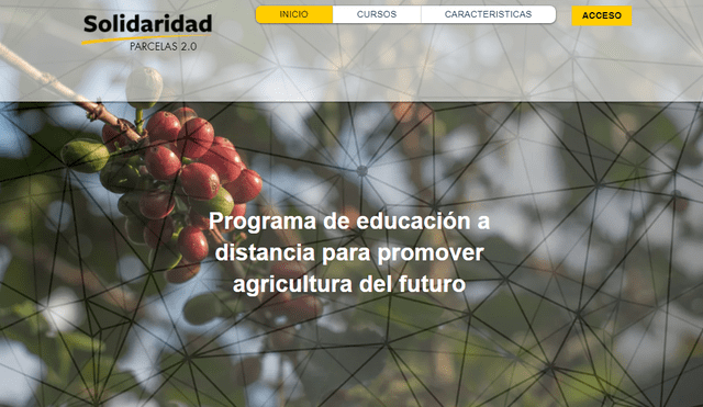 Lanzan clases online para el sector cafetero y cacaotero en temas de agricultura sostenible 