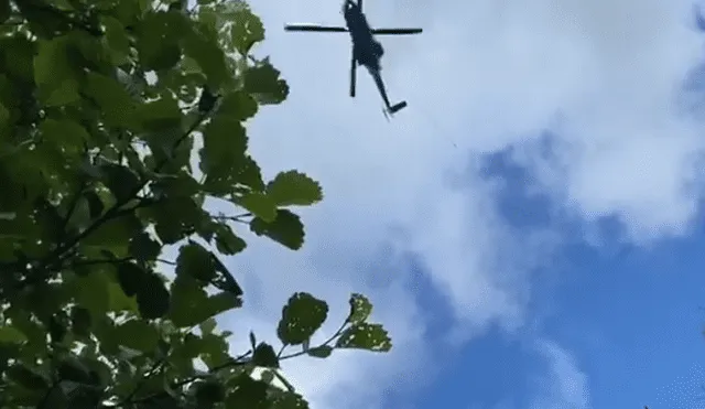 El animal quedó atrapado en un barranco y tuvo que llegar un helicóptero para sacarla del lugar. Foto: YouTube