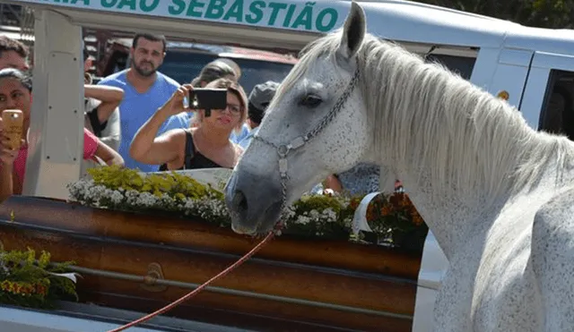 Facebook: El desolador lamento de un caballo en el entierro de su amo | Video