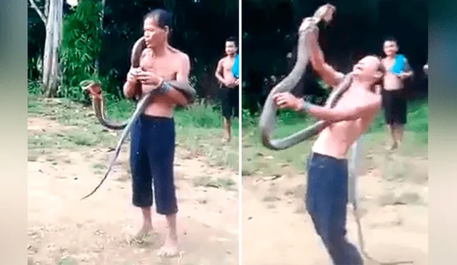 ‘Encantador de serpientes’ muere por la mordida de una cobra mientras presumía ‘poderes mágicos’ [VIDEO] 