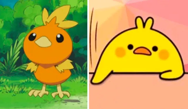 Pokémon GO: se burlan de Torchic por su parecido al meme “se tenía que decir y se dijo” [FOTO]