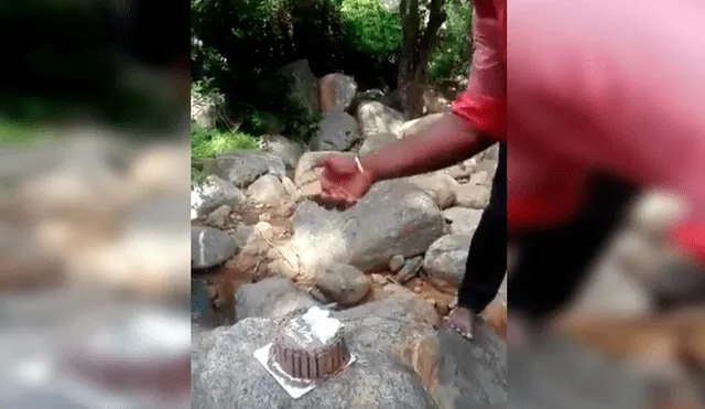 Familiares del joven lo sorprendieron con una torta de cumpleaños, sin imaginar que un travieso mono arruinaría el emotivo momento. El video es viral en Facebook