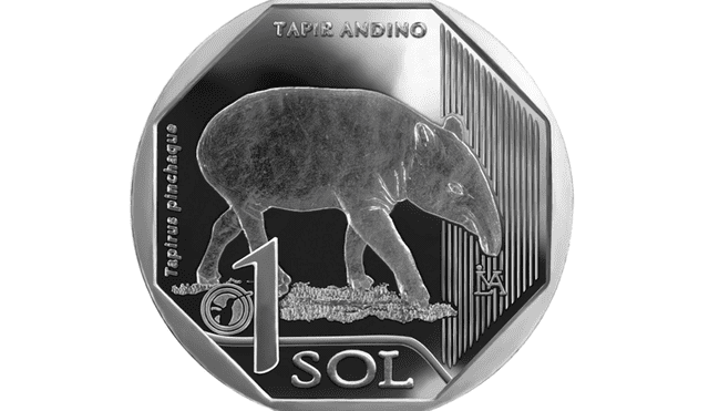 Tapir Andino: Los detalles de la nueva moneda de S/ 1 lanzada por el BCR