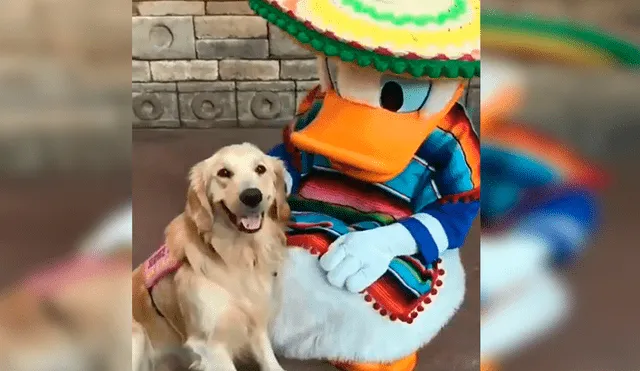 En YouTube, un perro acudió con su familia a un centro de diversiones de Disney y se encontró con el ‘Pato Donald’.