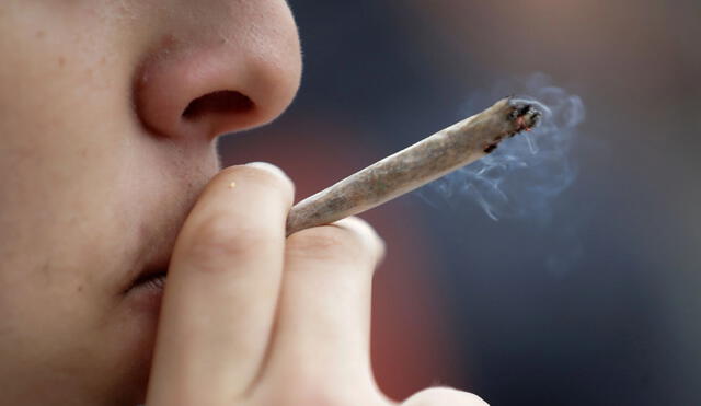 En Canadá, donde se realizó el estudio, el uso recreativo del cannabis fue legalizado en 2018. Foto: AFP