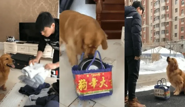 Facebook viral: perro quiere viajar con su dueño y hace lo más extraño para lograrlo [VIDEO]