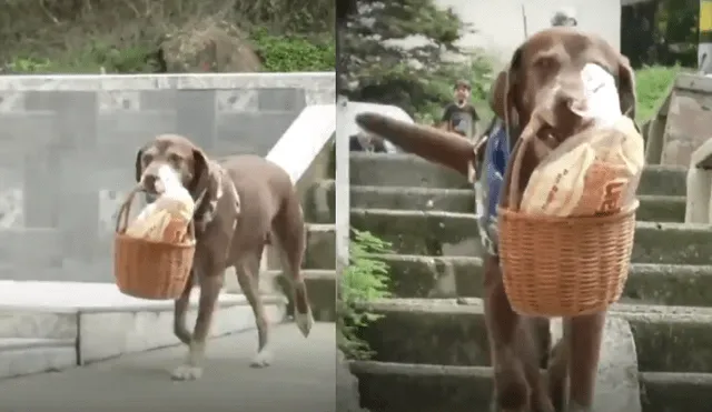 Desliza hacia la izquierda para ver más del video viral. Fotocaptura: Twitter