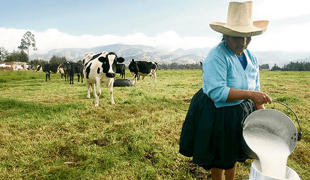 Postergados. Mayores compras para productos con leche 100% pura de vaca también beneficiaría a los ganaderos lecheros locales. Foto: difusión