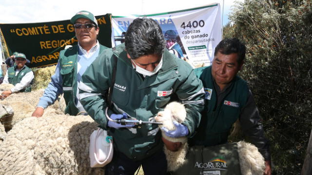 Minagri entregó 3700 kits veterinarios a ganaderos de Puno