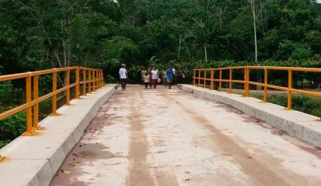 Familias excocaleras de Ucayali se beneficiaron con obra vial de Devida 