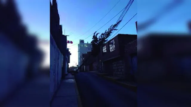 Fuertes vientos en Arequipa derrumban árbol y dejan sin luz a usuarios [VIDEO]
