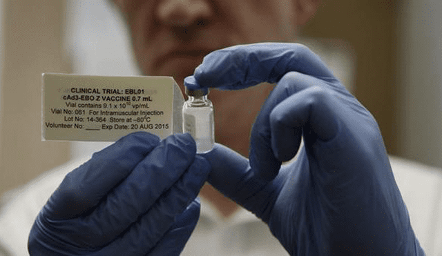 ¿Fin del ébola? Investigadores españoles trabajan vacuna para atacar virus