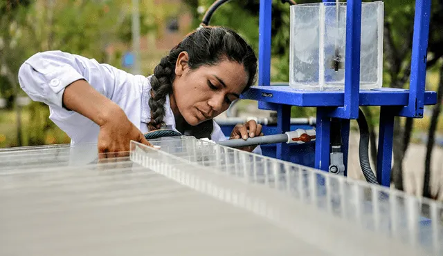 Ayacucho: ingeniera peruana inventa prototipo para purificar el agua 