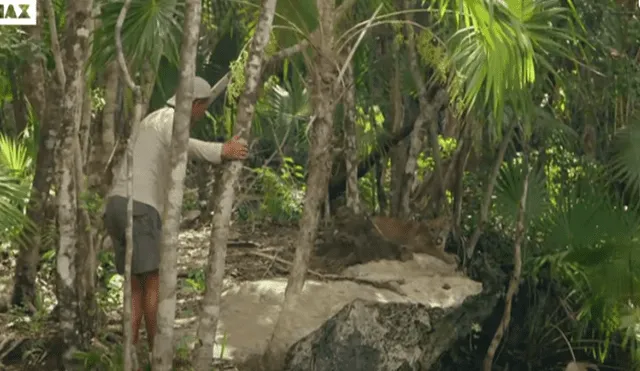 Desliza hacia la izquierda para ver el encuentro de un turista con un feroz animal, escena viral de YouTube.