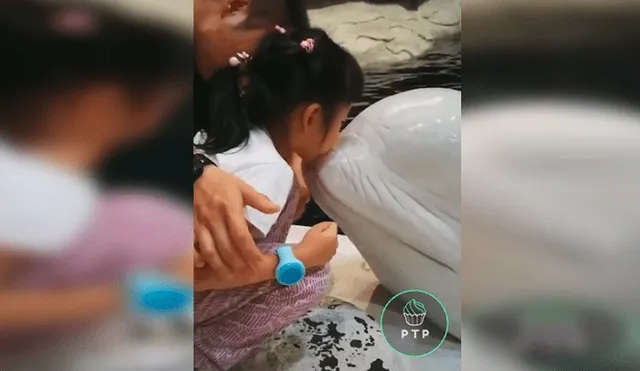 En YouTube, unos padres captaron el tierno momento de su menor hija cuando un delfín se le acercó.