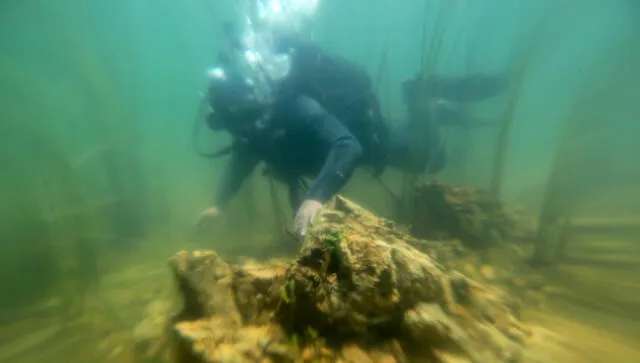 Lago Titicaca: Bolivia invertirá US$ 10 millones en crear museo subacuático