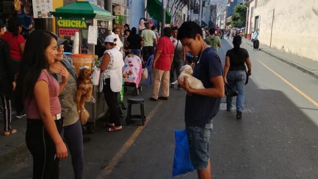 Sujetos venden mascotas escondidas en mochilas y cajas [FOTOS]