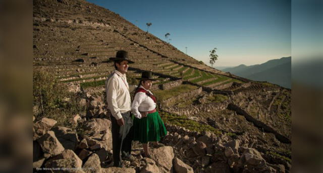 Comunidad de Tacna nominada a "Héroes del Paisaje" por su lucha contra el cambio climático [VIDEO]