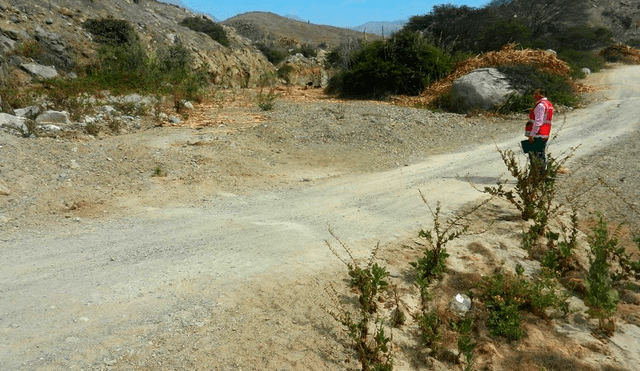 Áncash: identifican deficiencias en expediente técnico de carretera en distrito de Moro