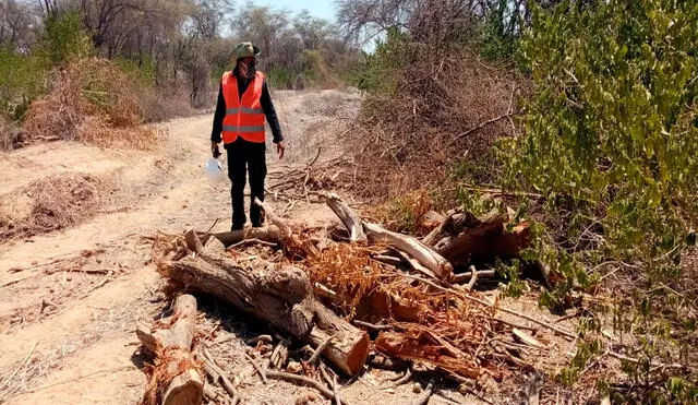 Denuncian presunto daño ambiental en terrenos de comunidad campesina de Olmos. (Foto: Policía Nacional)