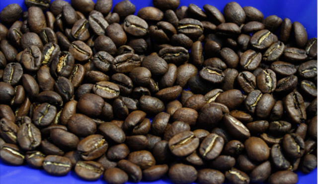 Perú integra proyecto para evaluar adaptación del café