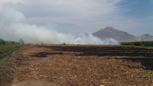Trujillo: empresa quemaba terrenos de caña de azúcar  [VIDEO]